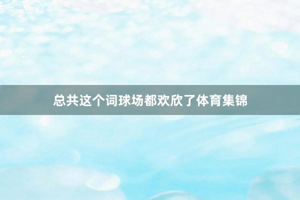 总共这个词球场都欢欣了体育集锦