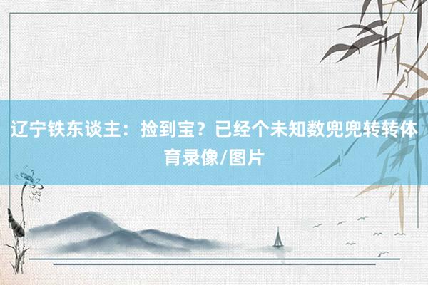 辽宁铁东谈主：捡到宝？已经个未知数兜兜转转体育录像/图片