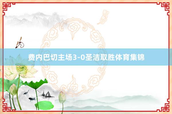 费内巴切主场3-0圣洁取胜体育集锦