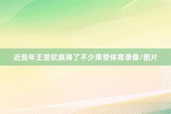 近些年王楚钦赢得了不少荣誉体育录像/图片