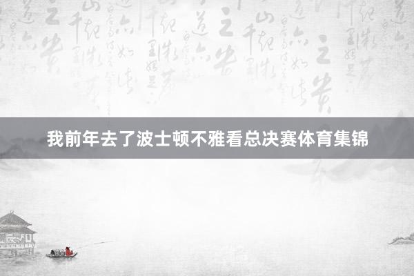 我前年去了波士顿不雅看总决赛体育集锦