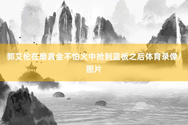郭艾伦在磨真金不怕火中抢到篮板之后体育录像/图片