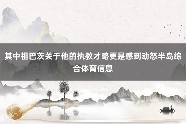 其中祖巴茨关于他的执教才略更是感到动怒半岛综合体育信息