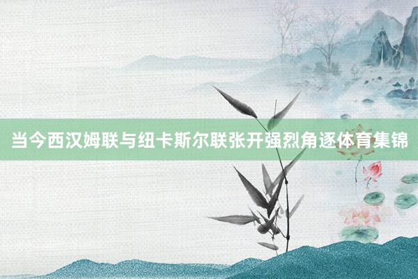 当今西汉姆联与纽卡斯尔联张开强烈角逐体育集锦