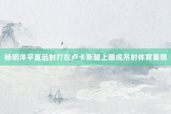 杨明洋平直远射打在卢卡斯腿上酿成吊射体育集锦