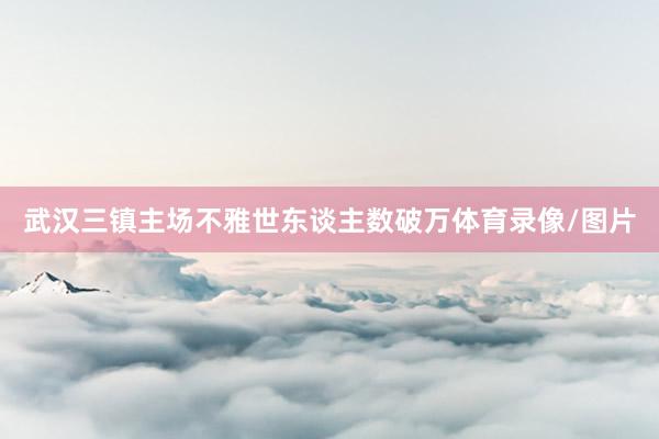 武汉三镇主场不雅世东谈主数破万体育录像/图片