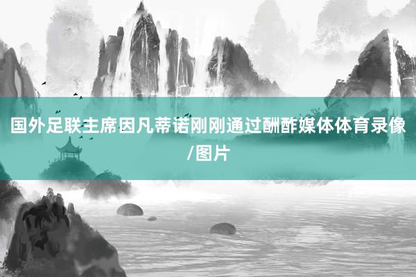 国外足联主席因凡蒂诺刚刚通过酬酢媒体体育录像/图片