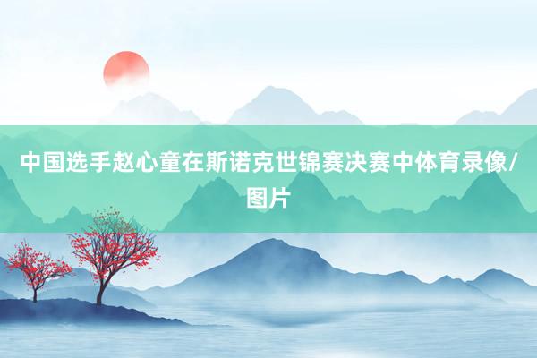 中国选手赵心童在斯诺克世锦赛决赛中体育录像/图片