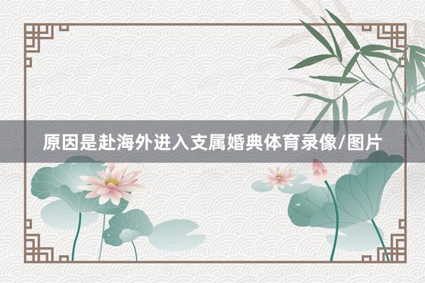原因是赴海外进入支属婚典体育录像/图片