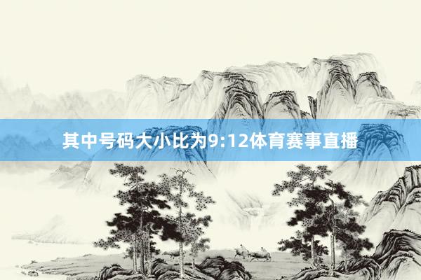 其中号码大小比为9:12体育赛事直播
