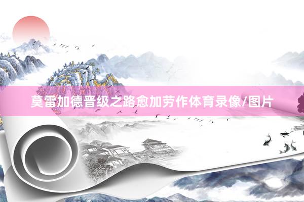 莫雷加德晋级之路愈加劳作体育录像/图片