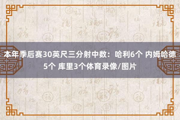 本年季后赛30英尺三分射中数：哈利6个 内姆哈德5个 库里3个体育录像/图片