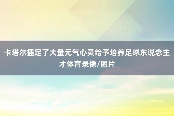卡塔尔插足了大量元气心灵给予培养足球东说念主才体育录像/图片
