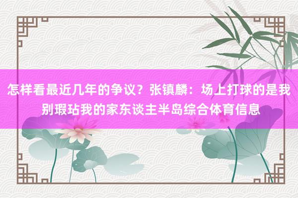 怎样看最近几年的争议？张镇麟：场上打球的是我 别瑕玷我的家东谈主半岛综合体育信息