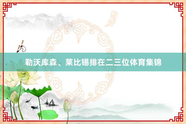 勒沃库森、莱比锡排在二三位体育集锦