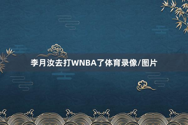 李月汝去打WNBA了体育录像/图片