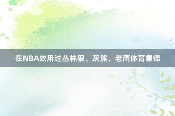在NBA效用过丛林狼、灰熊、老鹰体育集锦