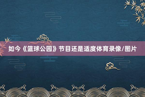 如今《篮球公园》节目还是适度体育录像/图片