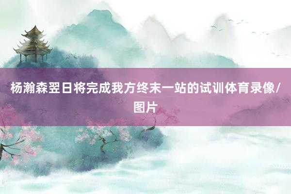杨瀚森翌日将完成我方终末一站的试训体育录像/图片
