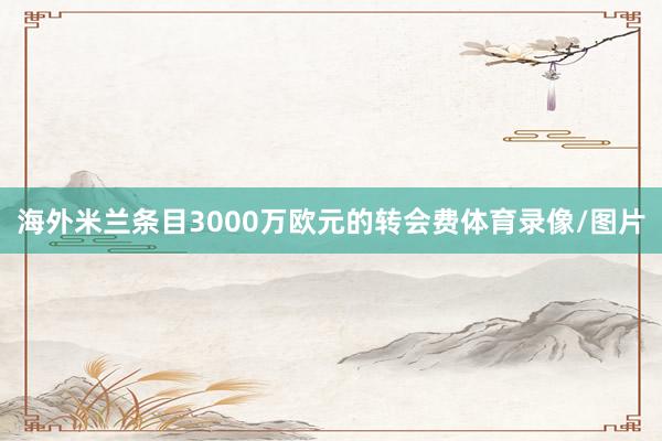 海外米兰条目3000万欧元的转会费体育录像/图片