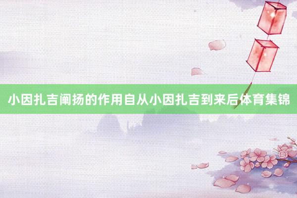 小因扎吉阐扬的作用自从小因扎吉到来后体育集锦
