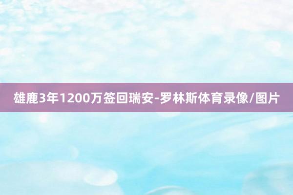 雄鹿3年1200万签回瑞安-罗林斯体育录像/图片