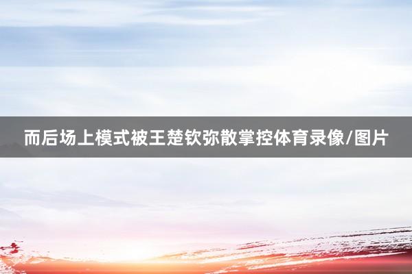 而后场上模式被王楚钦弥散掌控体育录像/图片