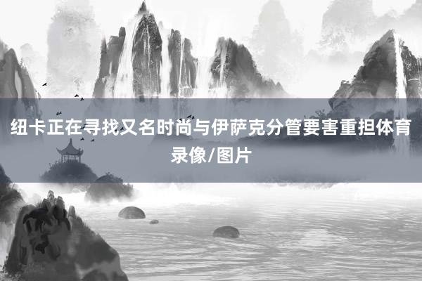 纽卡正在寻找又名时尚与伊萨克分管要害重担体育录像/图片