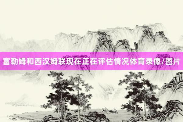 富勒姆和西汉姆联现在正在评估情况体育录像/图片
