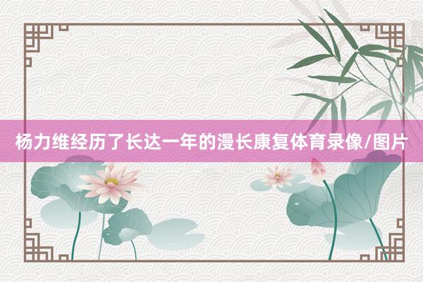杨力维经历了长达一年的漫长康复体育录像/图片