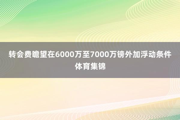 转会费瞻望在6000万至7000万镑外加浮动条件体育集锦