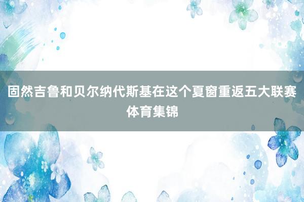 固然吉鲁和贝尔纳代斯基在这个夏窗重返五大联赛体育集锦