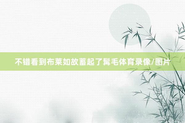 不错看到布莱如故蓄起了髯毛体育录像/图片