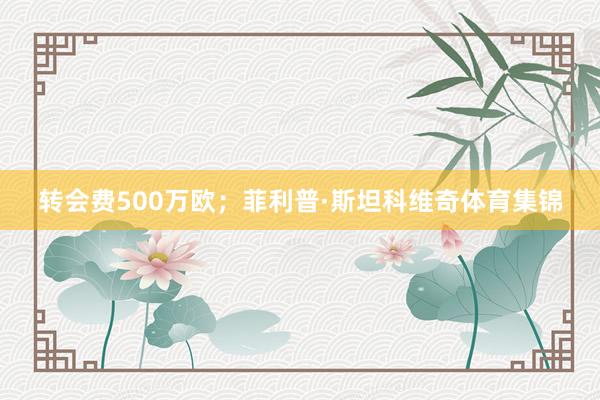 转会费500万欧；菲利普·斯坦科维奇体育集锦