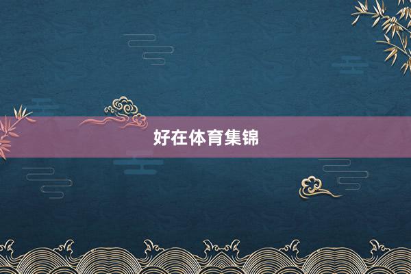 好在体育集锦