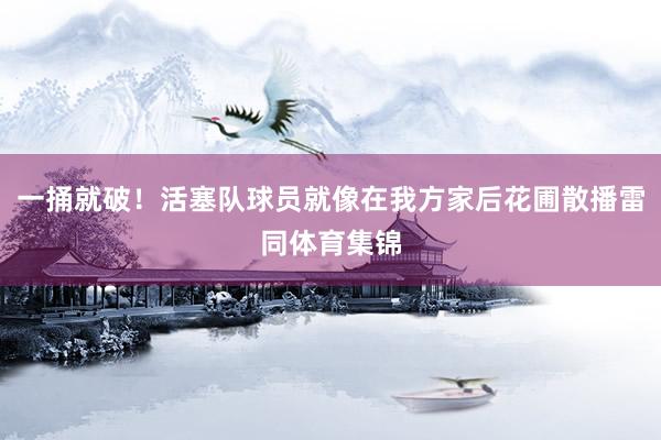 一捅就破！活塞队球员就像在我方家后花圃散播雷同体育集锦