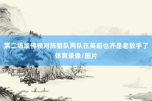 第二场埃佛顿对阵狼队两队在英超也齐是老敌手了体育录像/图片