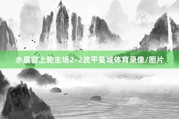 水晶宫上轮主场2-2战平曼城体育录像/图片