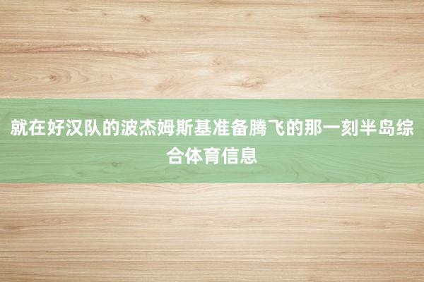 就在好汉队的波杰姆斯基准备腾飞的那一刻半岛综合体育信息