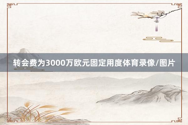 转会费为3000万欧元固定用度体育录像/图片