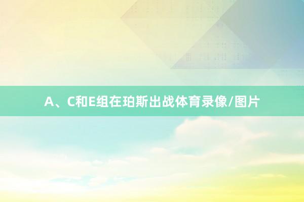 A、C和E组在珀斯出战体育录像/图片