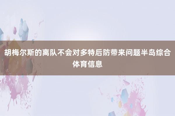 胡梅尔斯的离队不会对多特后防带来问题半岛综合体育信息