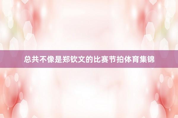 总共不像是郑钦文的比赛节拍体育集锦