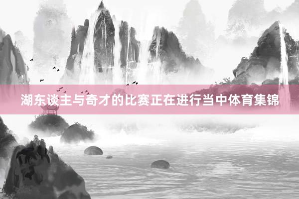湖东谈主与奇才的比赛正在进行当中体育集锦