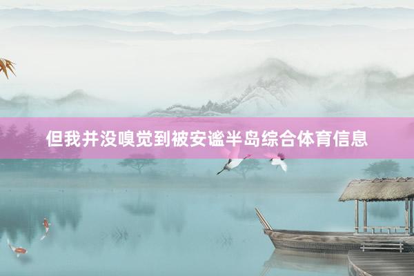 但我并没嗅觉到被安谧半岛综合体育信息