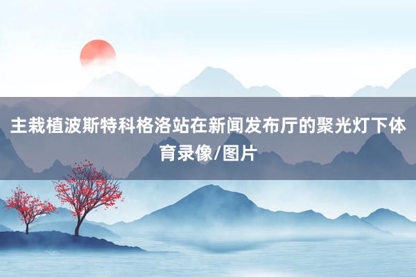主栽植波斯特科格洛站在新闻发布厅的聚光灯下体育录像/图片