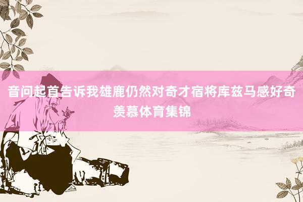 音问起首告诉我雄鹿仍然对奇才宿将库兹马感好奇羡慕体育集锦