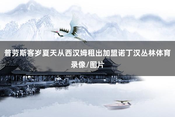 普劳斯客岁夏天从西汉姆租出加盟诺丁汉丛林体育录像/图片