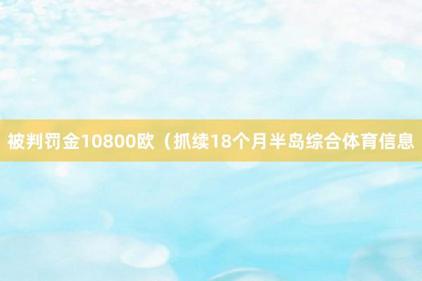 被判罚金10800欧（抓续18个月半岛综合体育信息