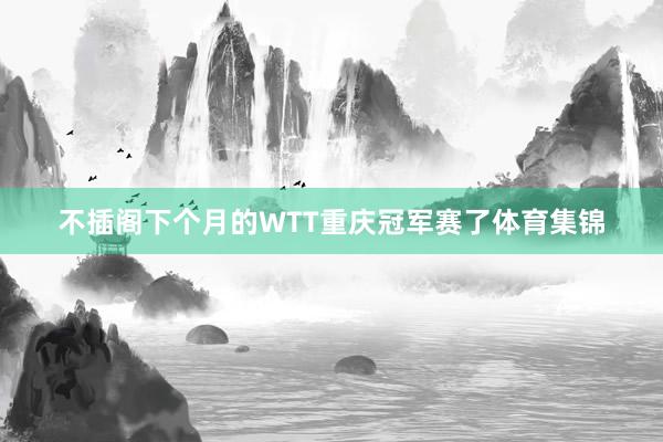 不插阁下个月的WTT重庆冠军赛了体育集锦